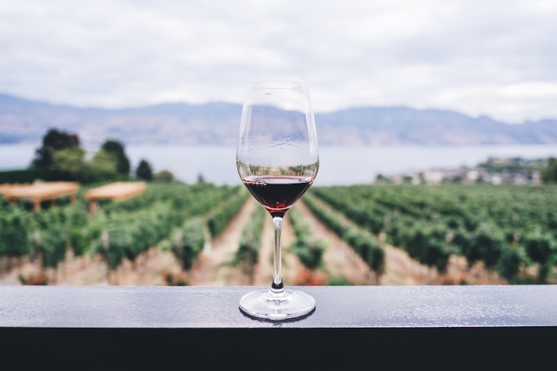 Hua Hin Hills Vineyard (Monsoon Valley)
