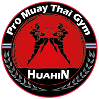 Pro Muay Thai Gym